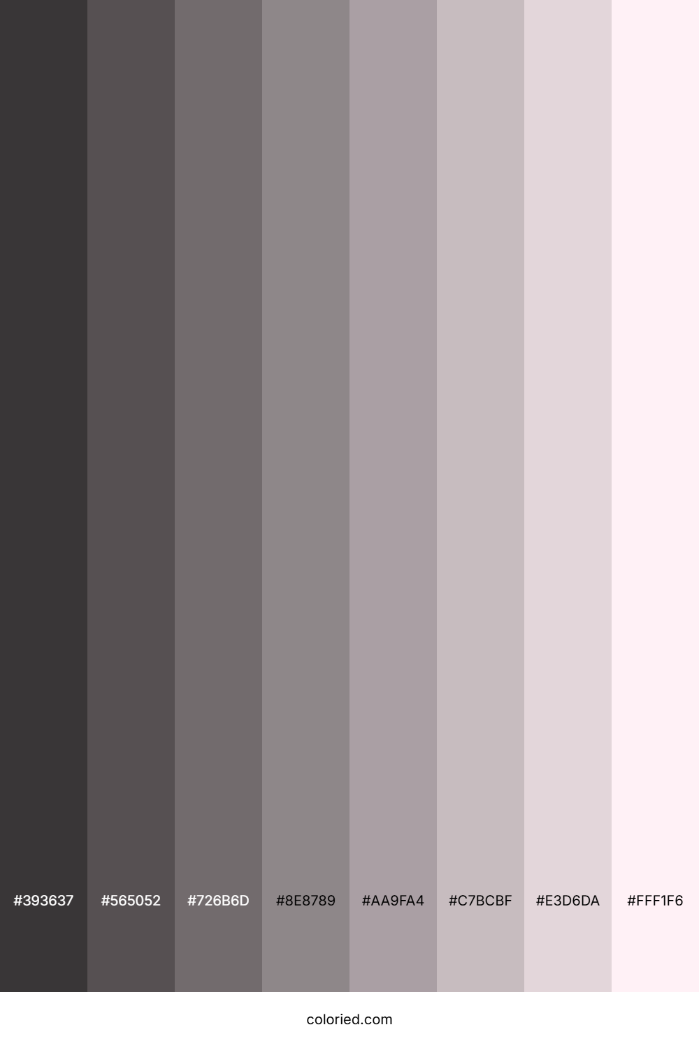 Lavender Blush Color Shades