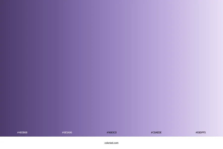 Lavender Gradient