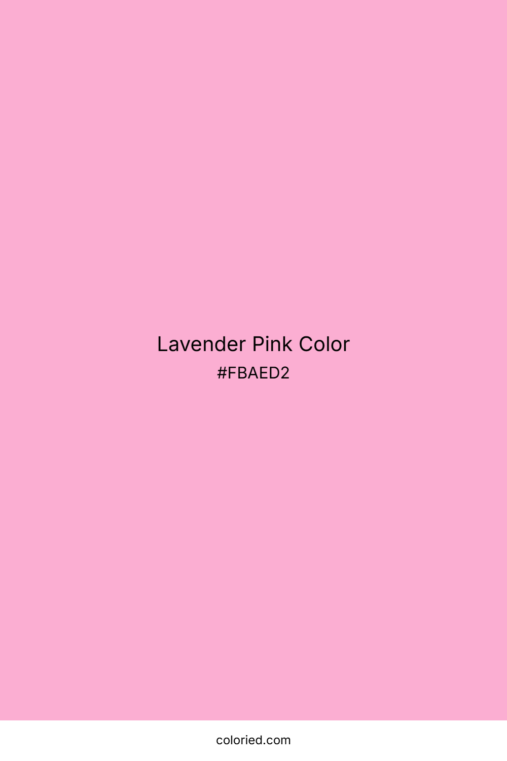 Lavender Pink Color