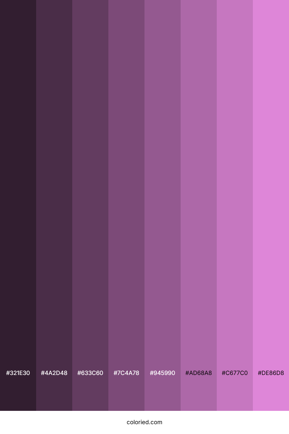 Lavender Pink Shades