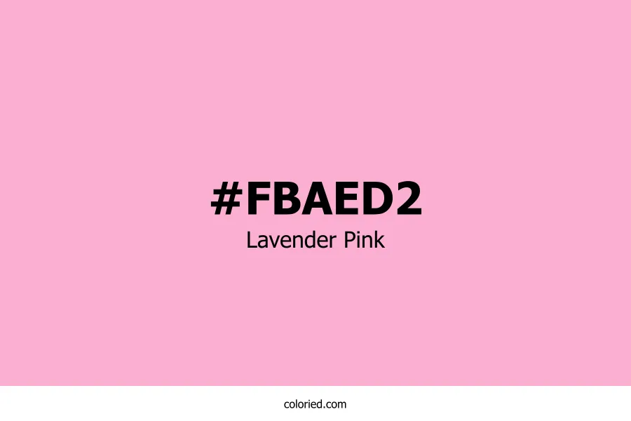 Lavender Pink Color