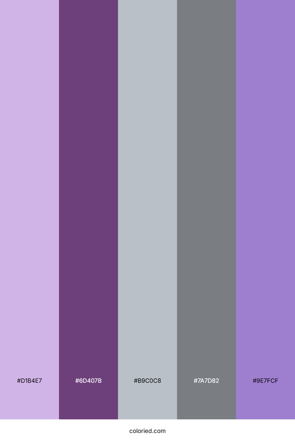 Lavender Purple and Slate Gray Color Palette