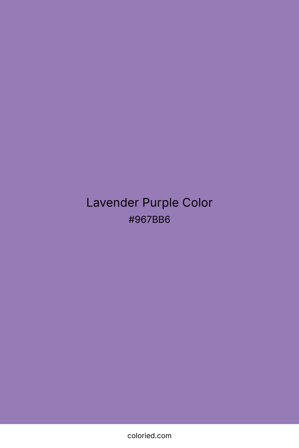 Lavender Purple Color
