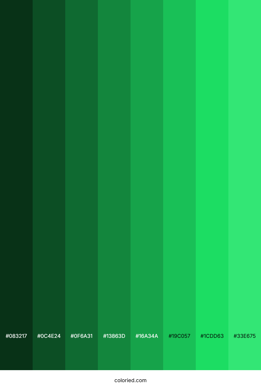 Lawn Green Shades