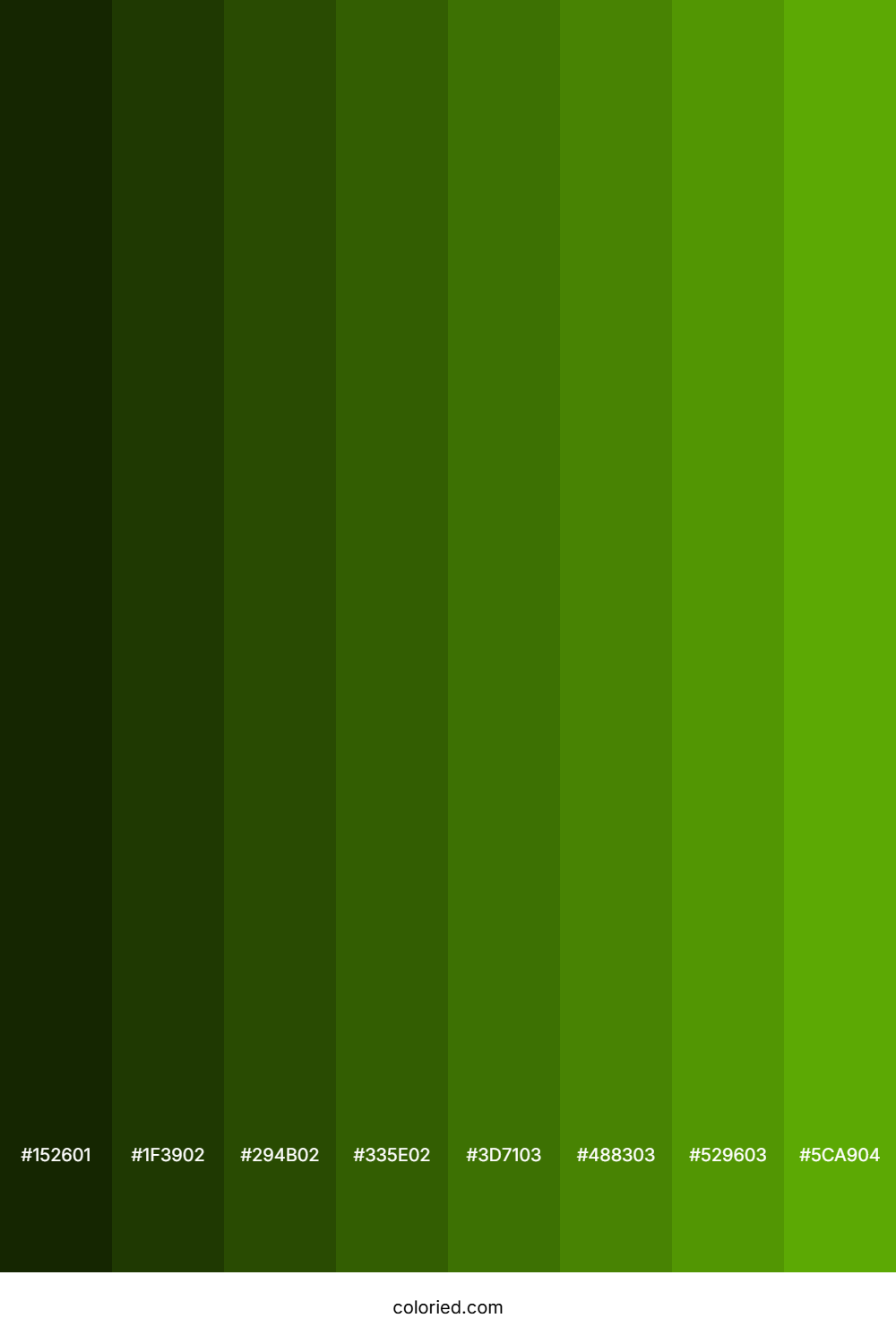 Leaf Green Color Shades