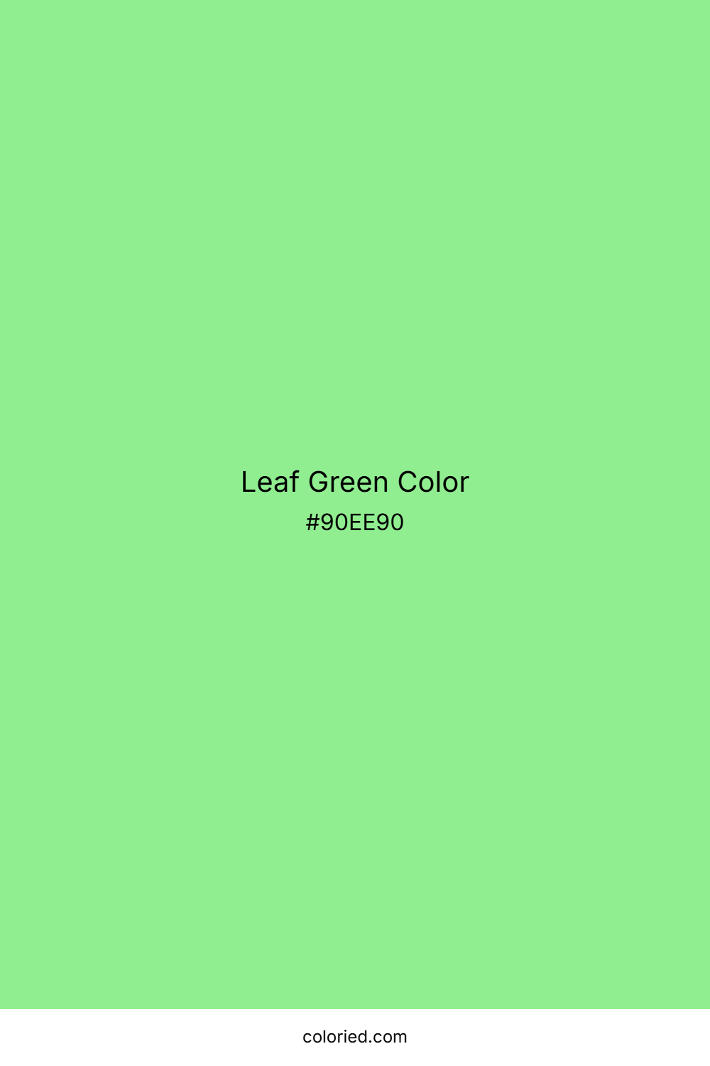 Leaf Green Color