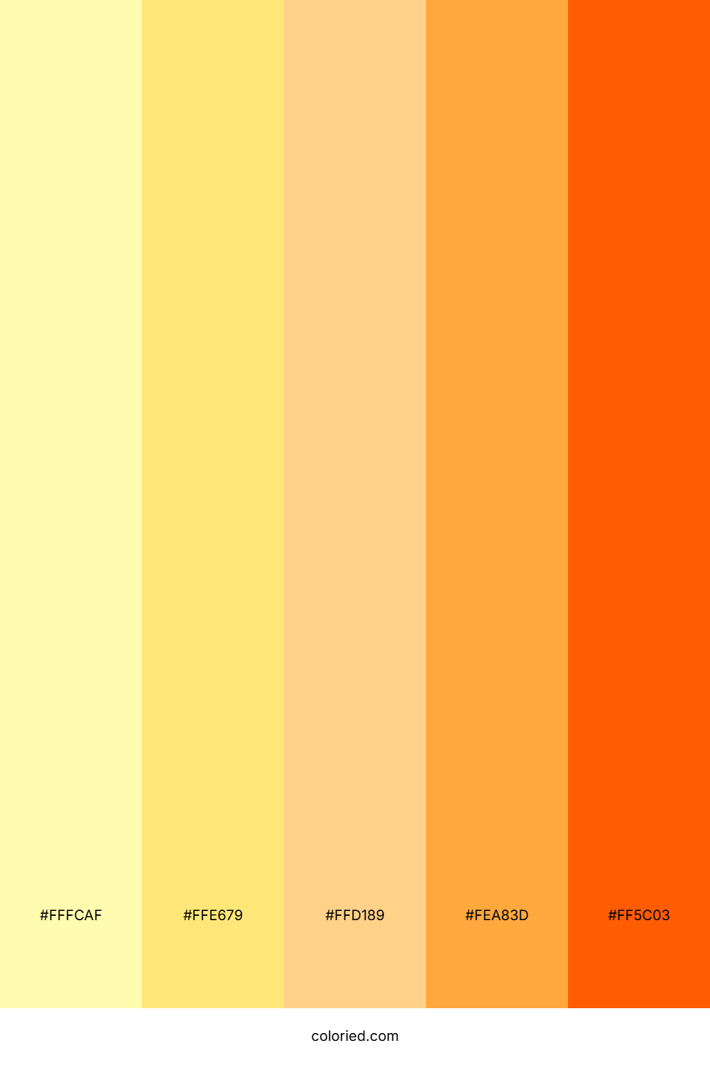 Lemon and Tangerine Color Palette