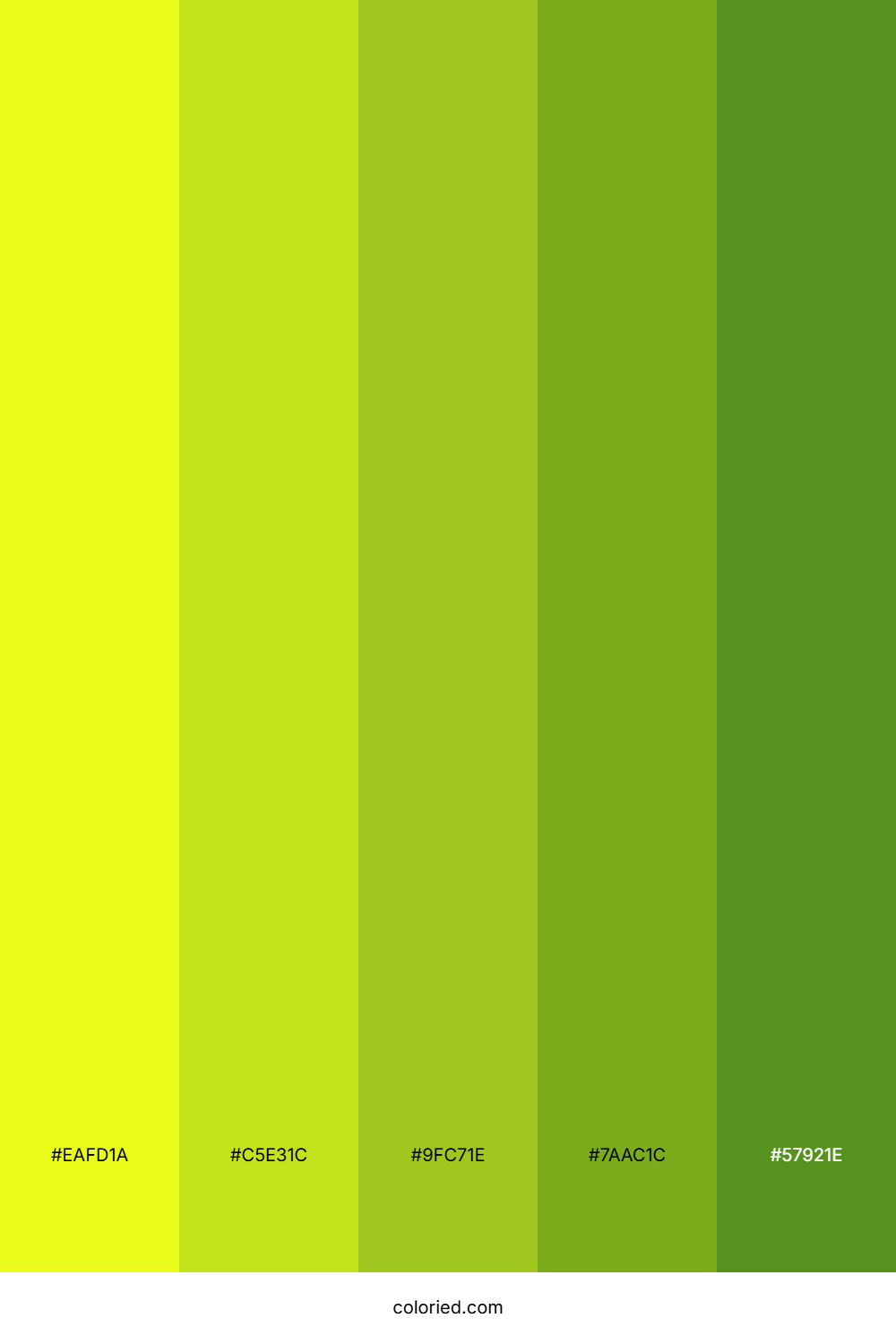 Lemon Grove Meadow Color Palette