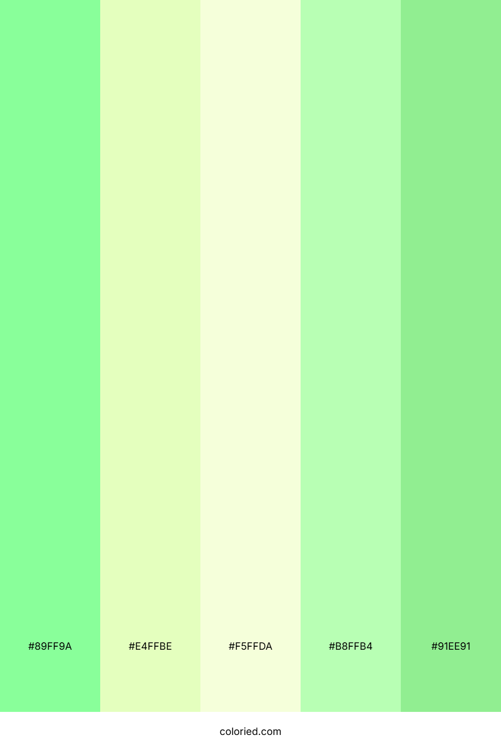 Lemon Mint Fizz Color Palette