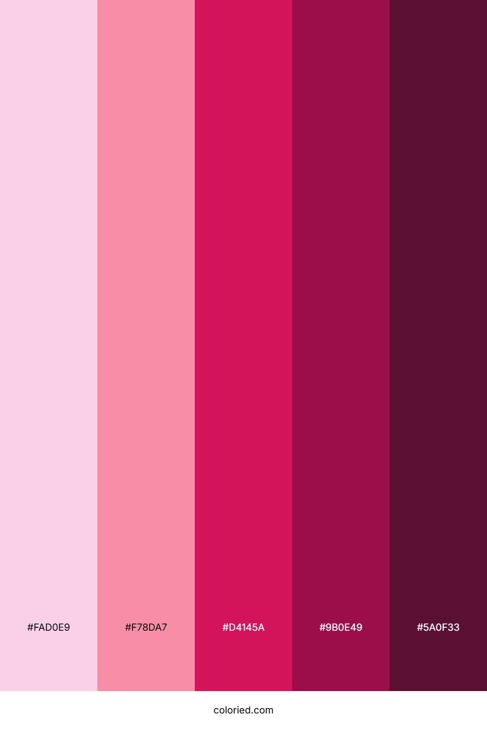 Light and Dark Fuchsia Gradient Color Palette