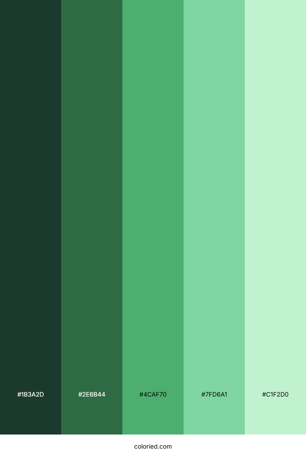 Light and Dark Green Gradient Color Palette