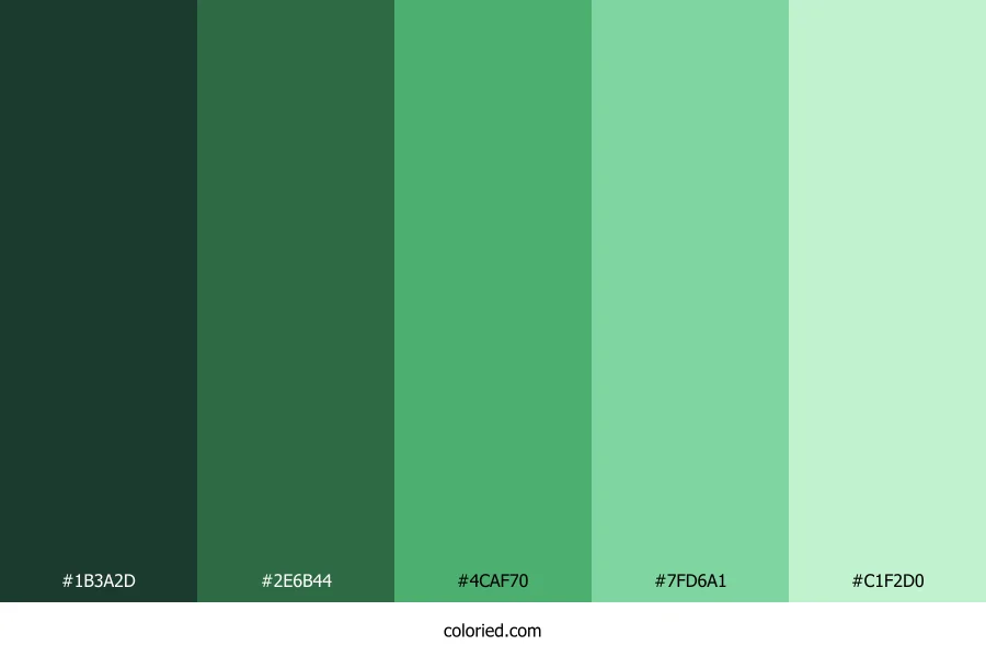 Light and Dark Green Gradient Color Palette