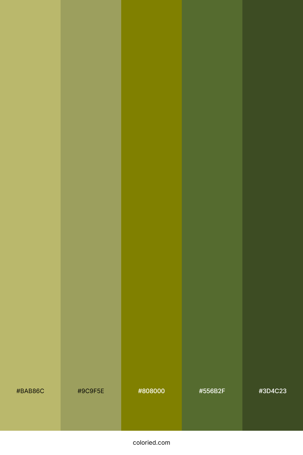 Light and Dark Olive Gradient Color Palette