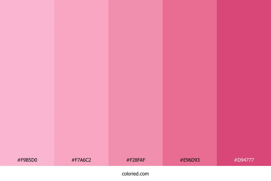 Light and Dark Pink Color Palette