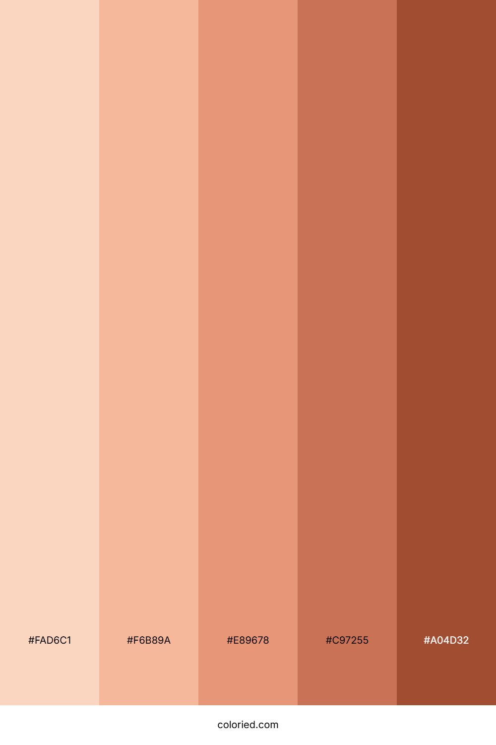 Light and Dark Rose Gold Gradient Color Palette