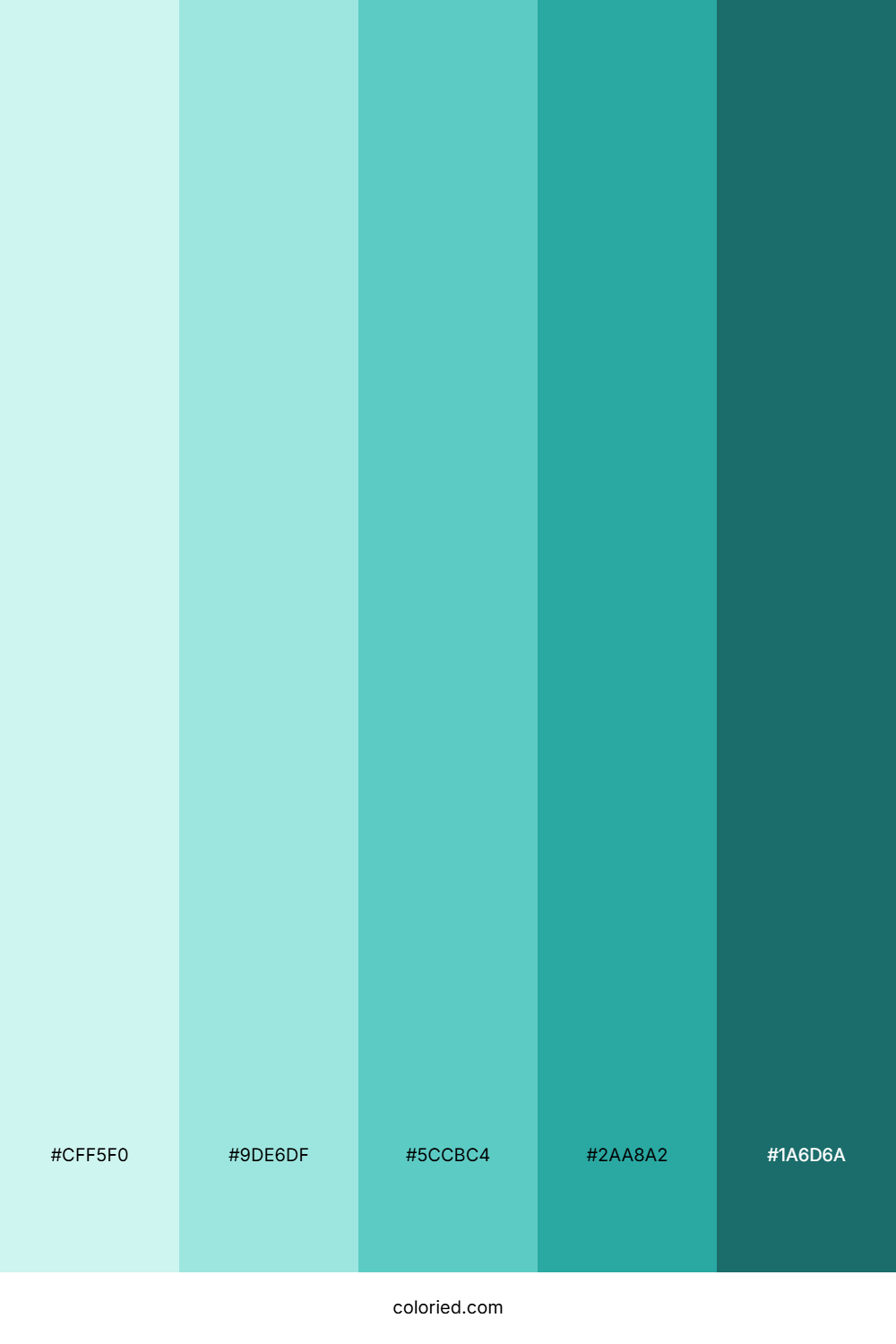 Light and Dark Teal Gradient Color Palette