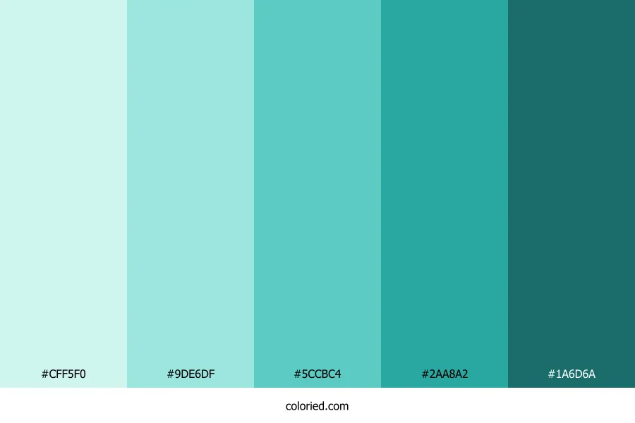 Light and Dark Teal Gradient Color Palette