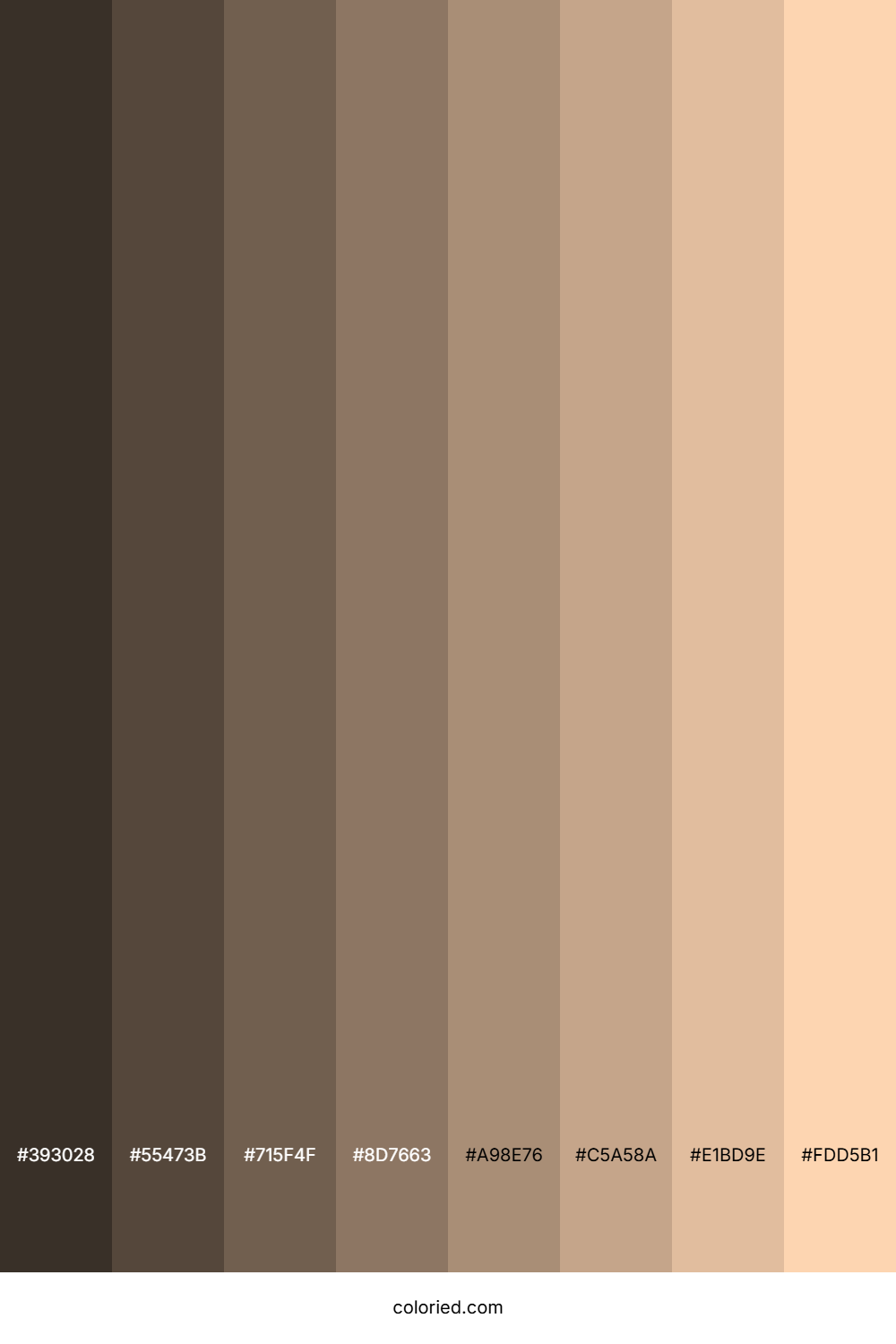 Light Apricot Color Shades