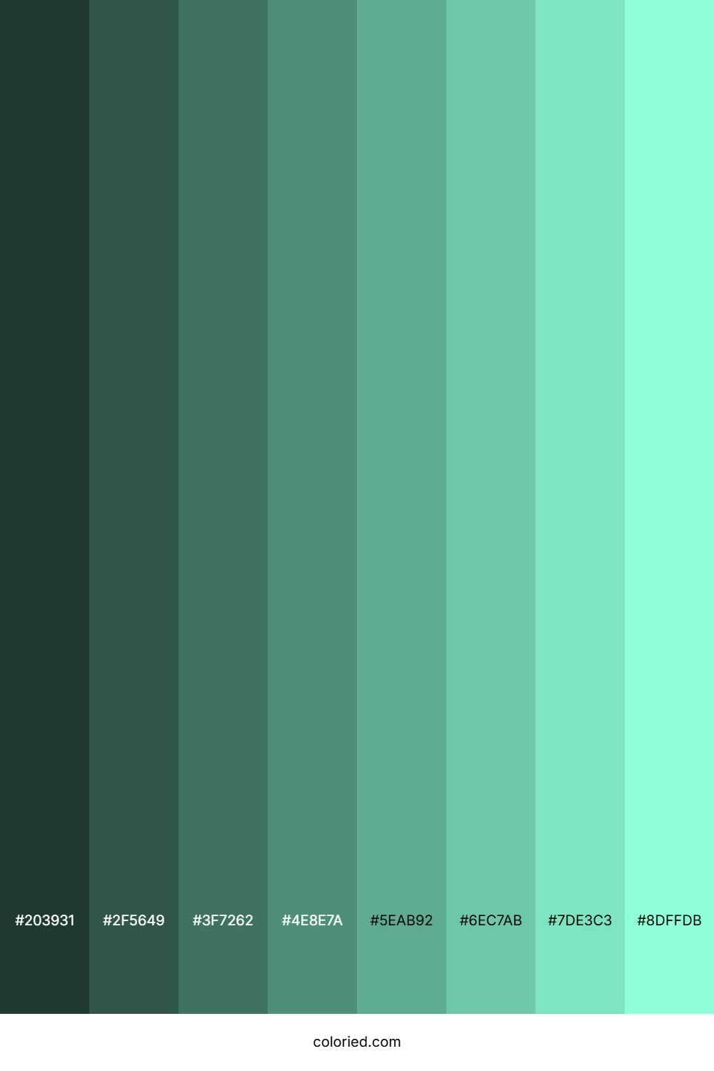 Light Aqua Color Shades