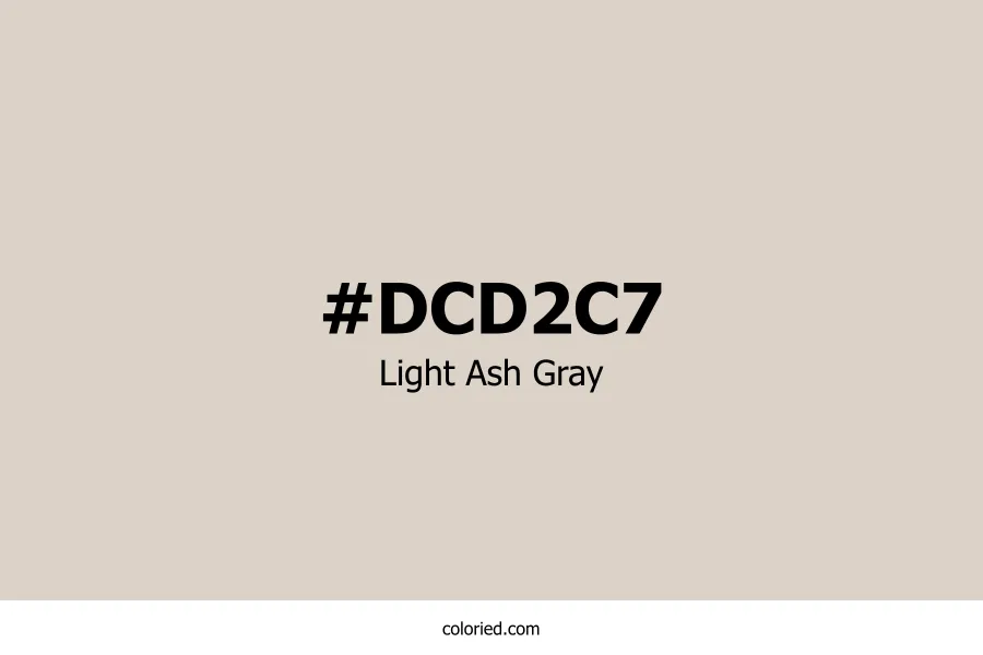 Light Ash Gray Color