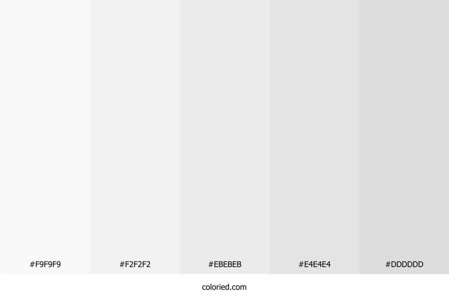 Light Background Color Palette