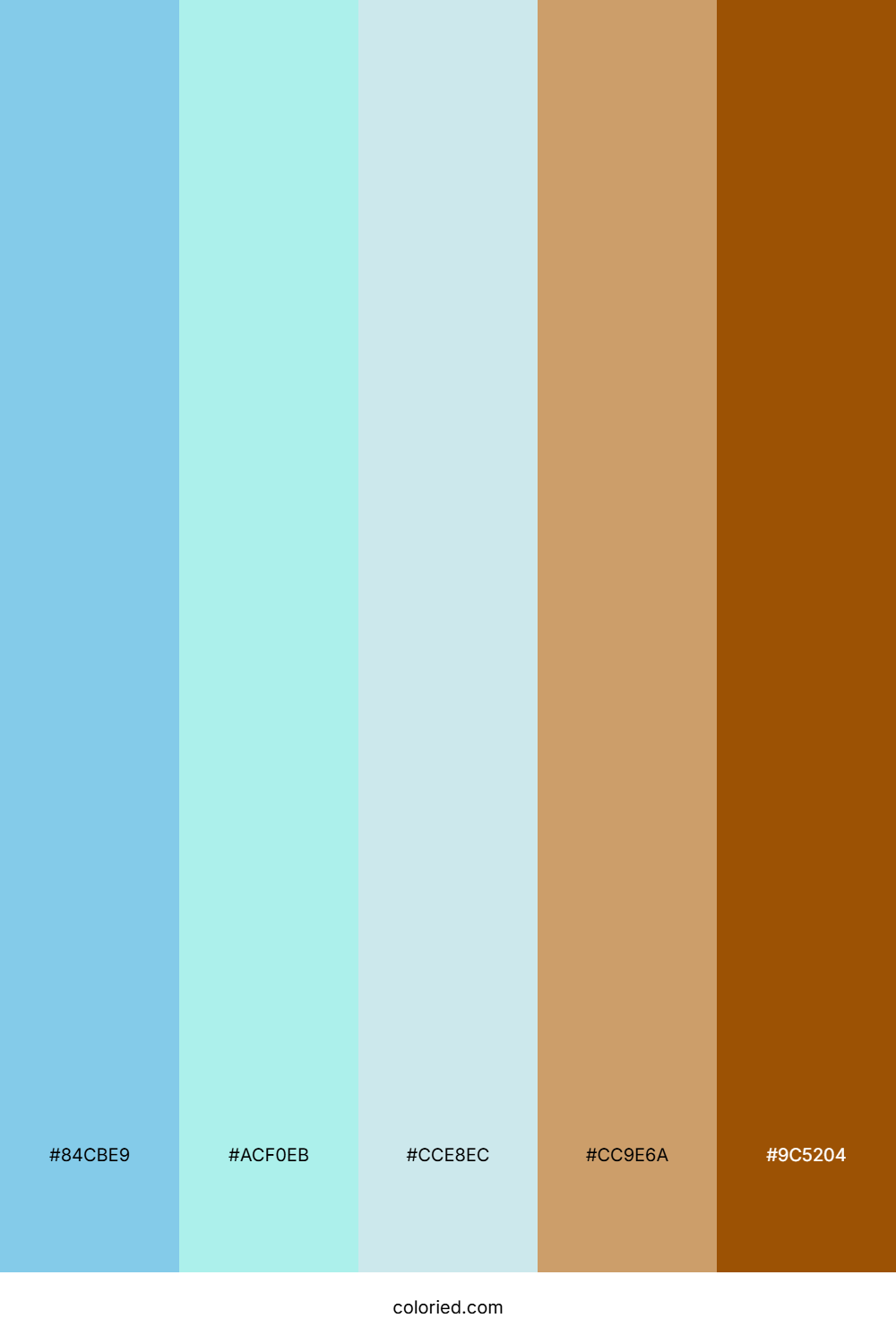 Light Blue and Brown Color Palette