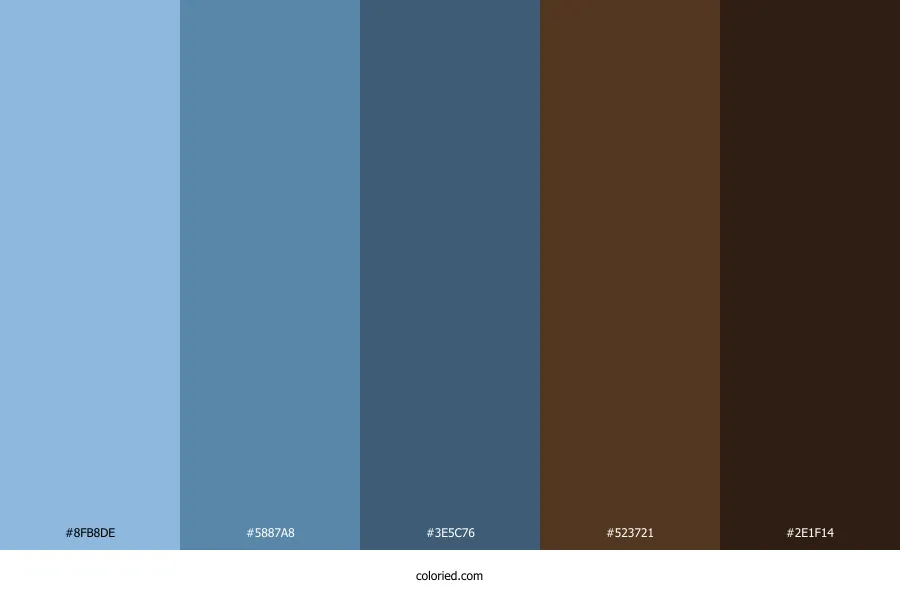 Light Blue Dark Brown Color Palette