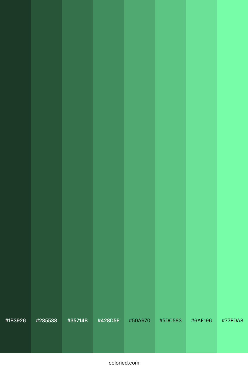 Light Bluish Green Color Shades