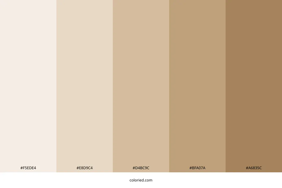 Light Brown Color Palette