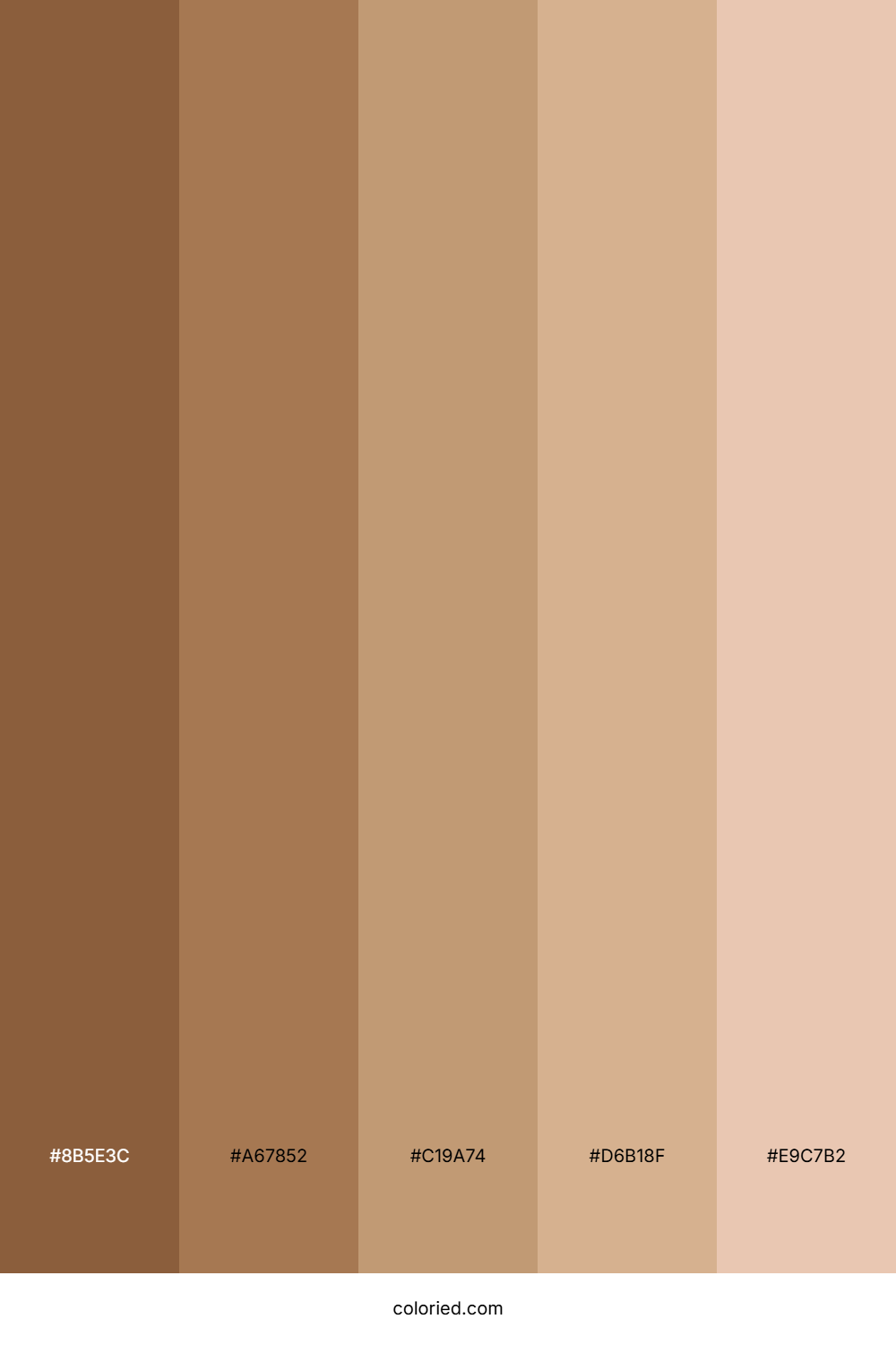 Light Brown Gradient Color Palette