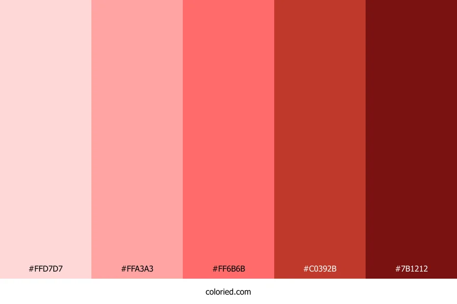 Light-Dark Red Gradient Color Palette