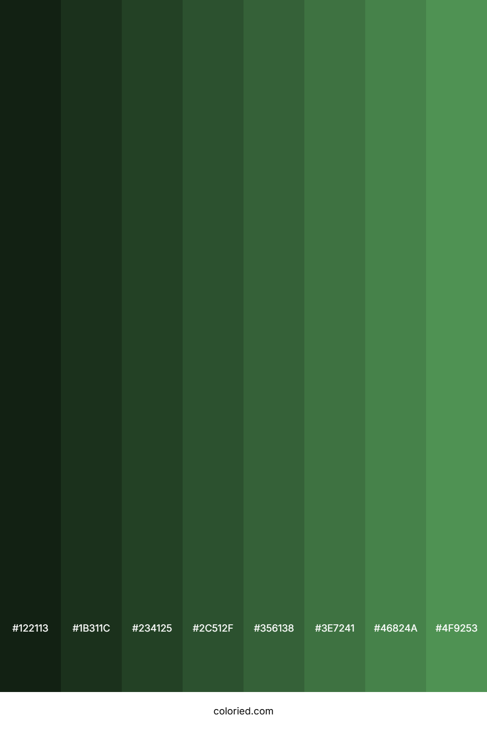 Light Forest Green Color Shades