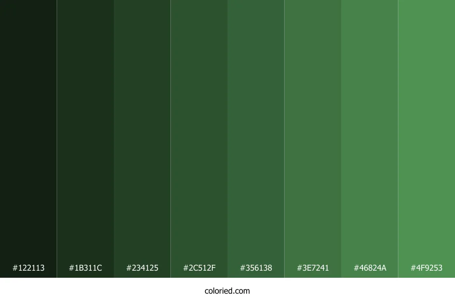 Light Forest Green Color Shades