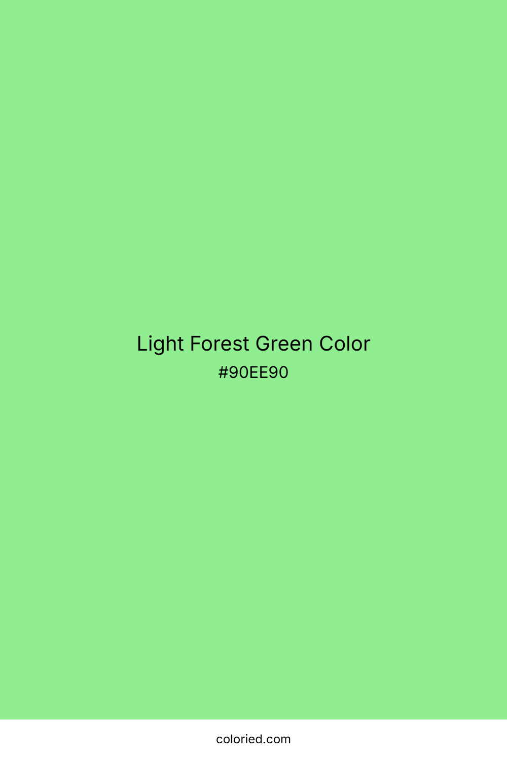 Light Forest Green Color