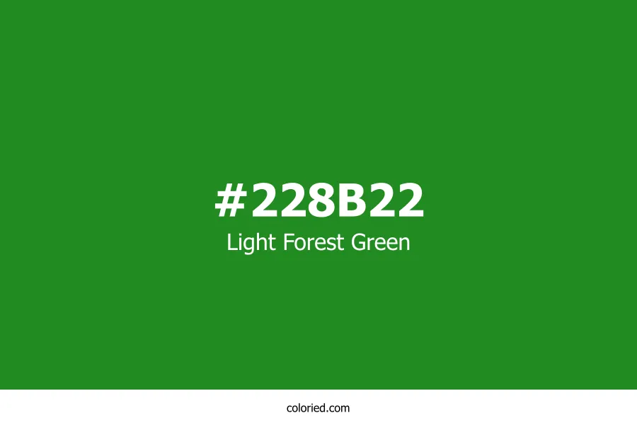 Light Forest Green Color