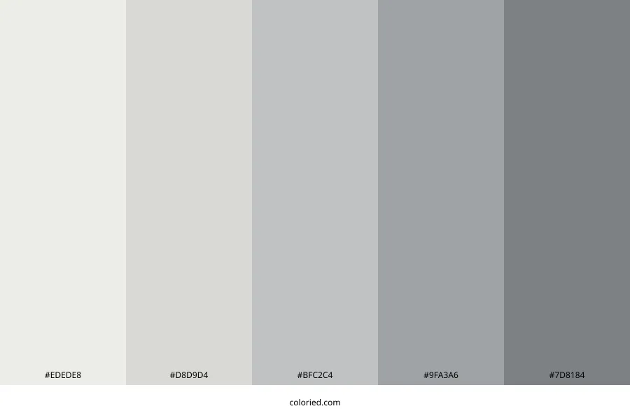 Light French Gray Color Palette