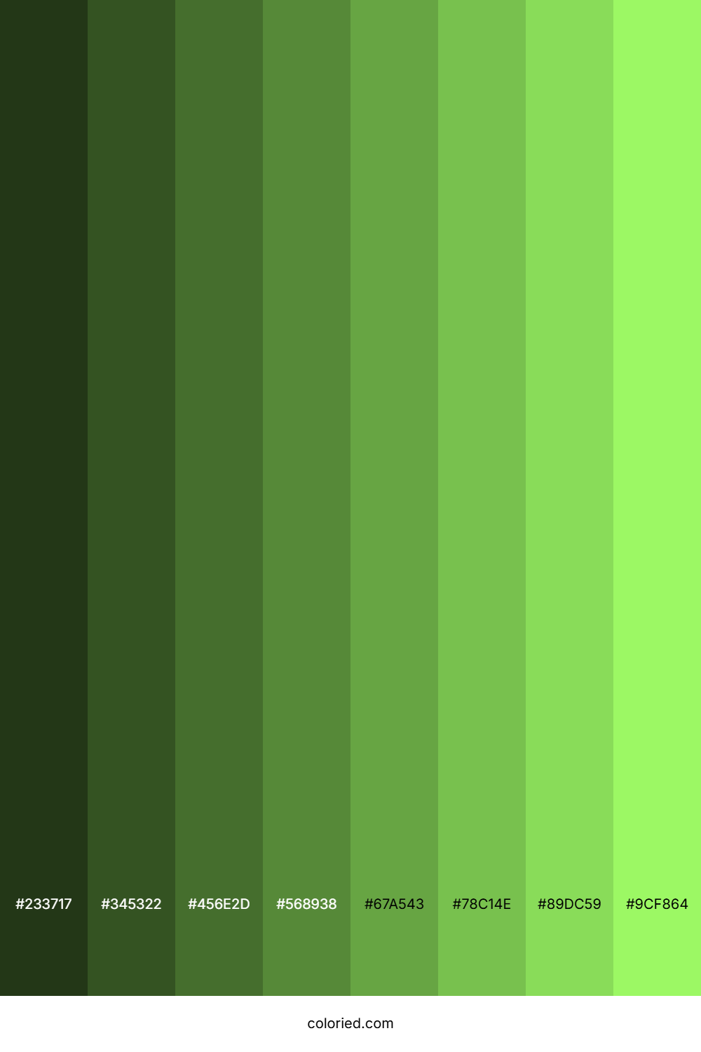 Light Grass Green Color Shades