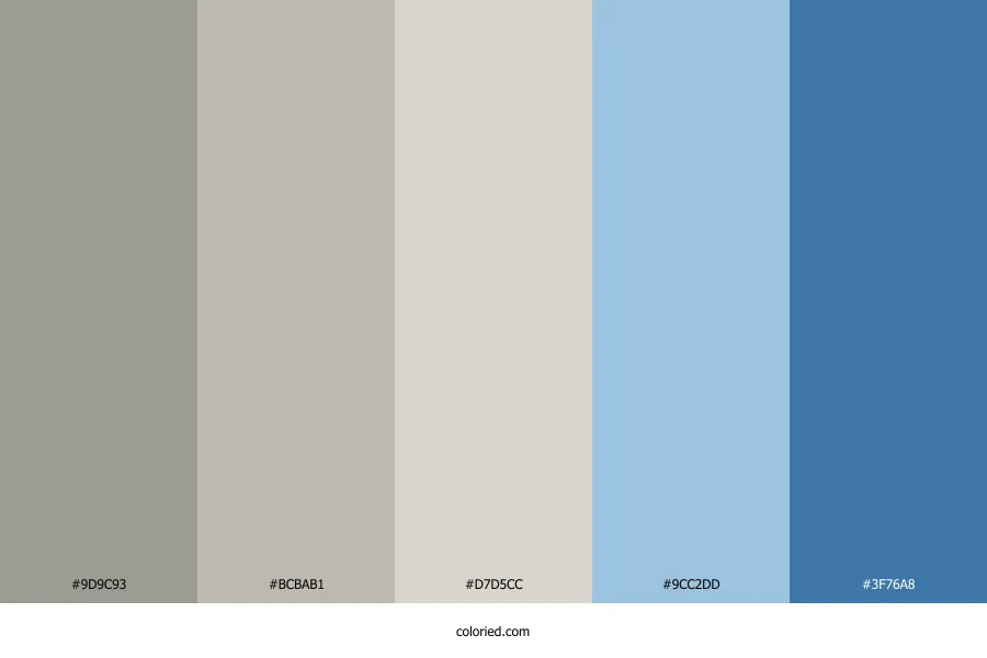 Light Gray and Blue Color Palette