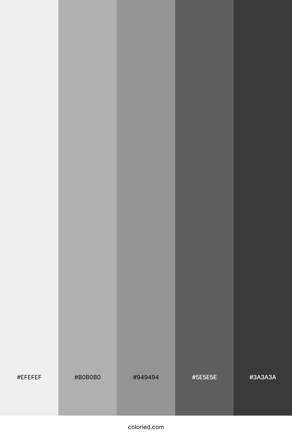 Light Gray and Dark Gray Color Palette