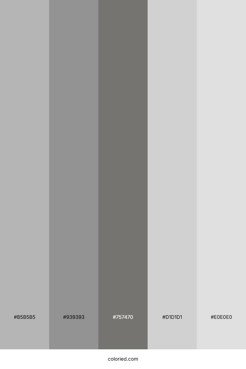 Light Gray And Medium Gray Color Palette