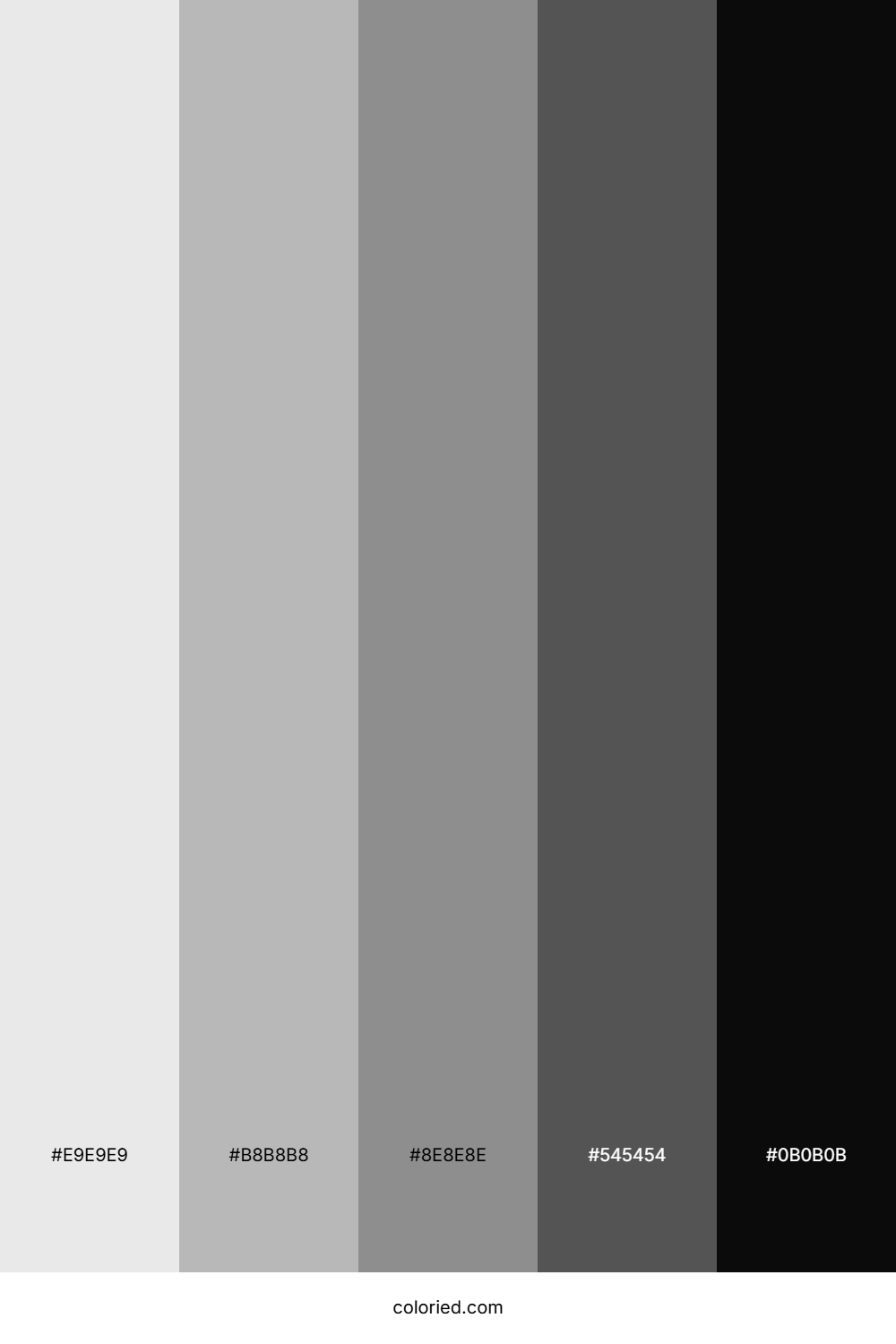 Light Gray and Slate Color Palette