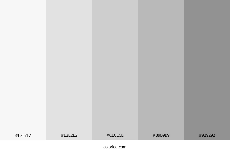 Light Gray Color Palette