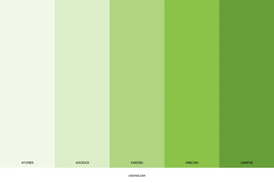 Light Green Color Palette