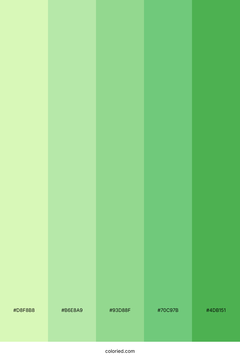 Light Green Gradient Color Palette