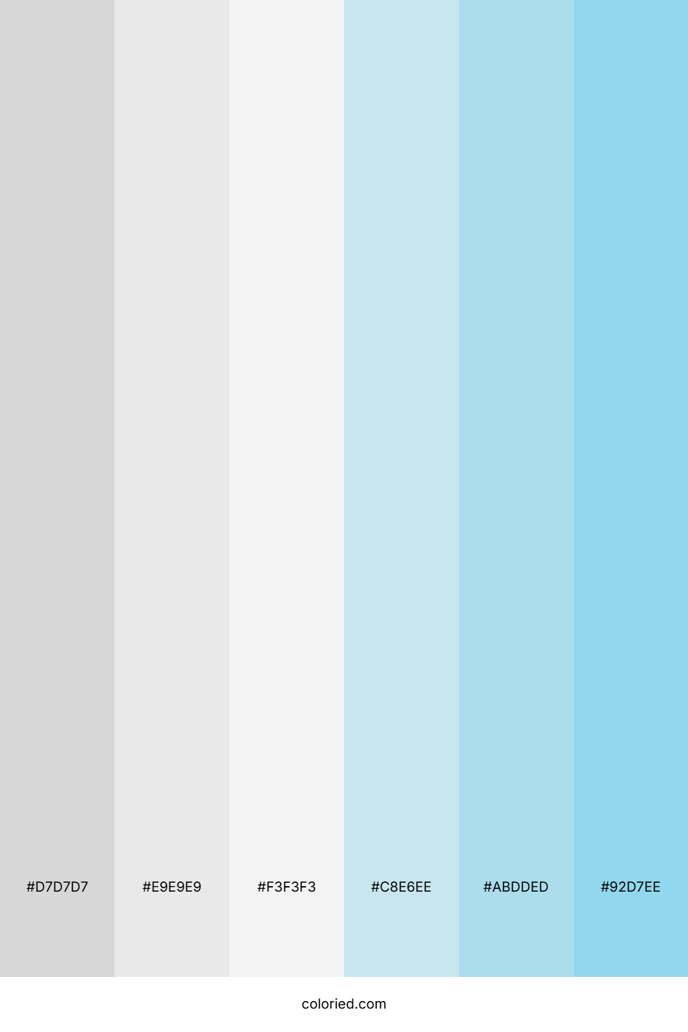 Light Grey and Sky Blue Color Palette