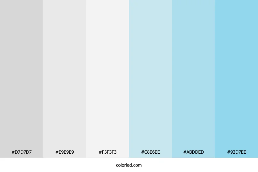 Light Grey and Sky Blue Color Palette