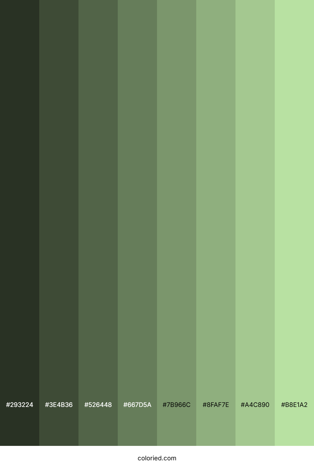 Light Grey Green Shades