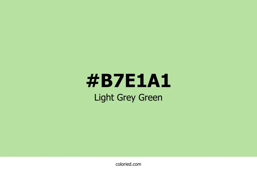 Light Grey Green Color Hex Code