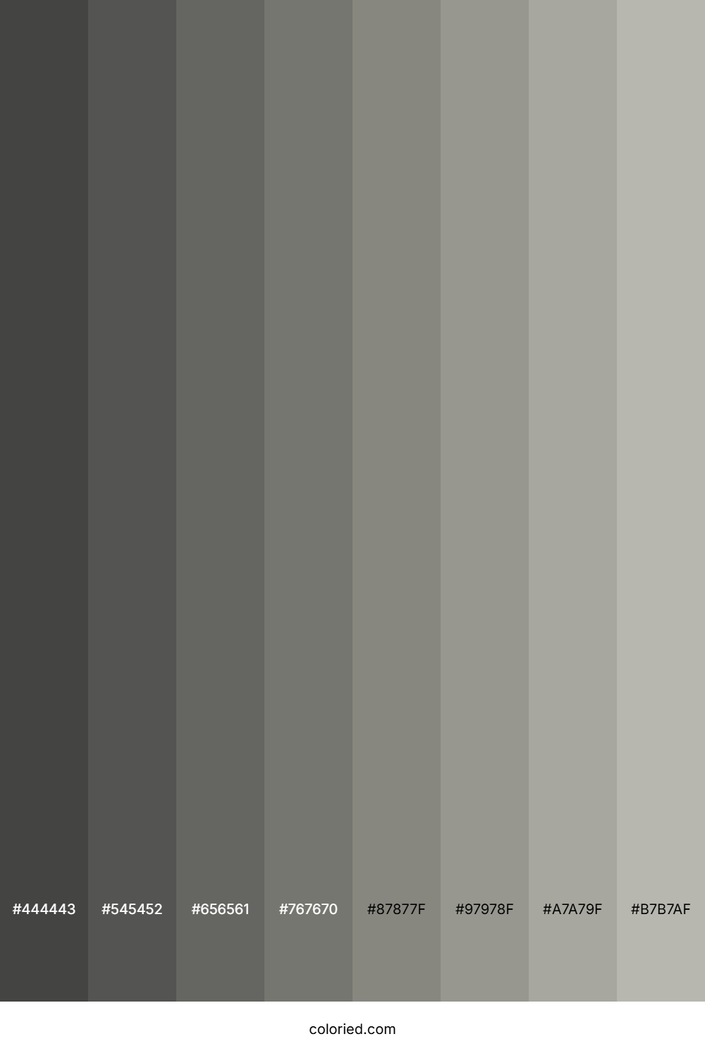Light Grey Shades