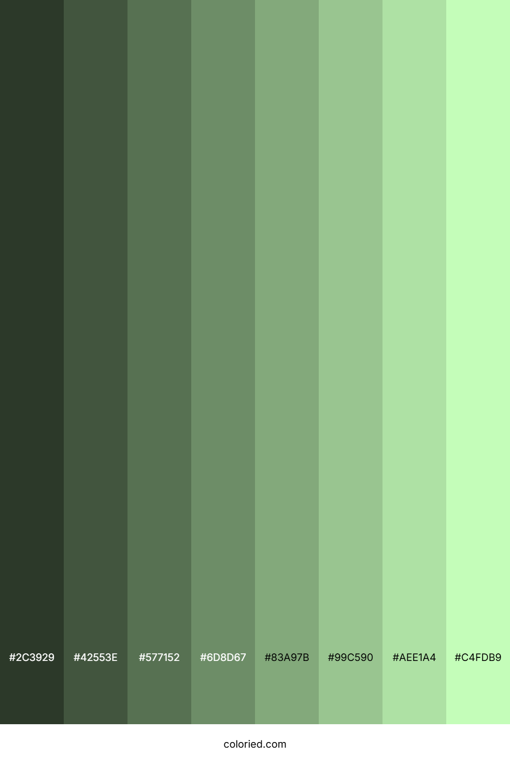 Light Jade Color Shades